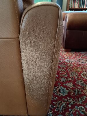 Seattle Gaslight Inn by null