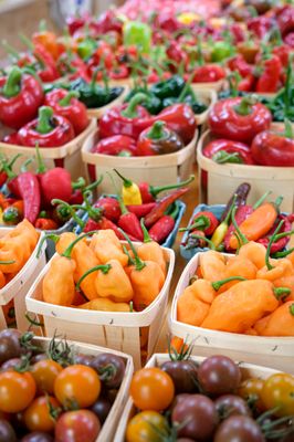 Forts Ferry Farm by null