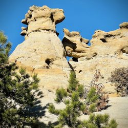 Palmer Park - Dog and dog kissing cat hoodoos formations