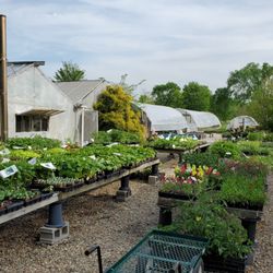 Hill Haven Farm & Greenhouse