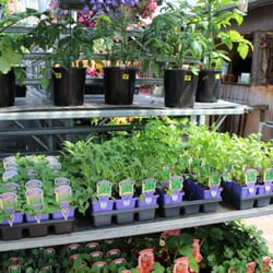 Evergreen Landscaping & Garden Center