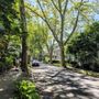 Photo of City of Brookline