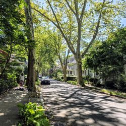 City of Brookline - Beals St. in Brookline