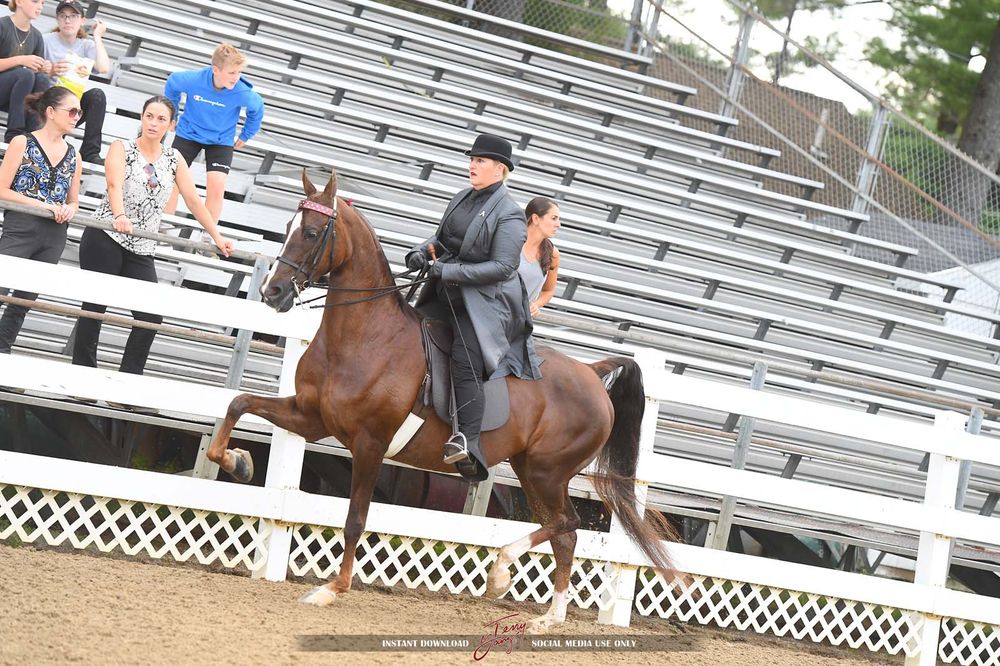 Sterling Hill Stable - equestrian in Derry, NH