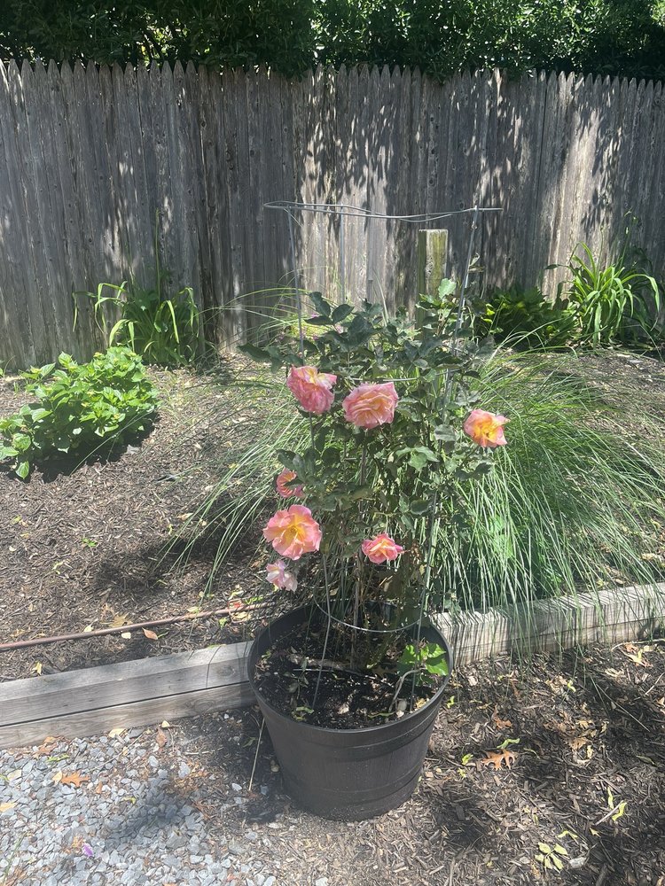 Slide of ZAX Plumbing