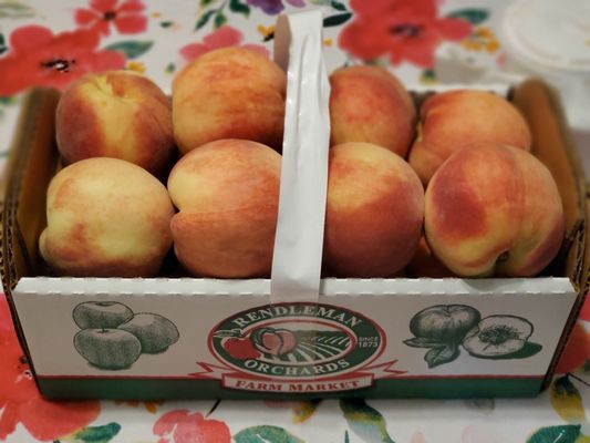 Rendleman Orchards by null