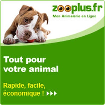 zooplus stores
