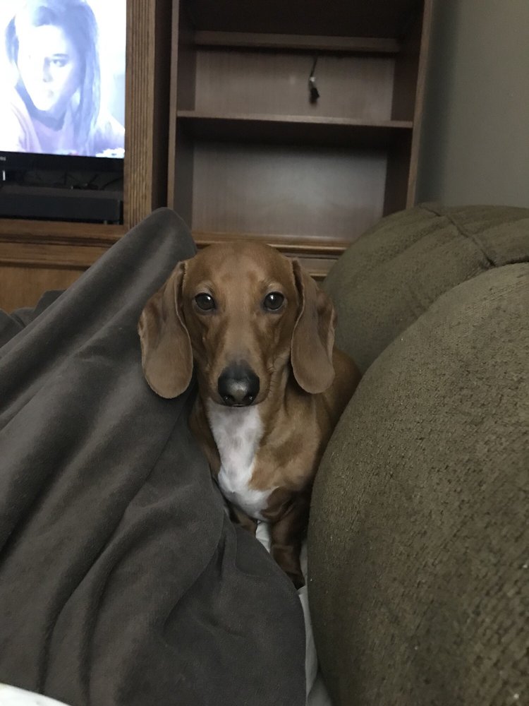 GARDEN SPRINGS ELEMENTARY SCHOOL Updated May 2024 2151 Garden