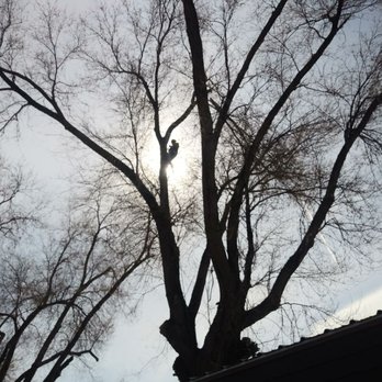 Arbor Services - Relaxing in the sunshine - Tree Services Near Me - West Valley City, Utah
