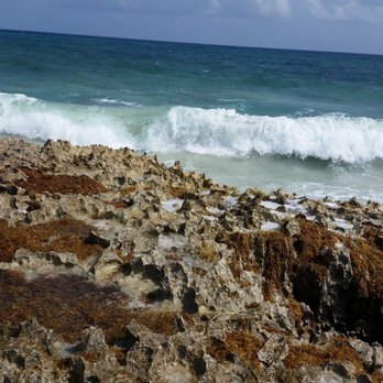 Freedom in Paradise - Just down the shore. - Beach Bars Near Me - Cozumel, ROO