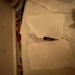Massage Poise - Paper towel no cushion