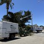 Photo of Mountain Valley Tree Service