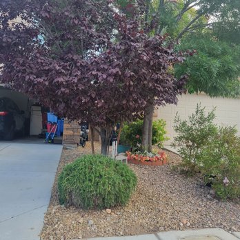 Southwest Lawnscape - Landscaping Near Me