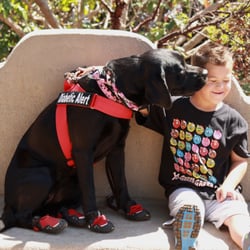 California Jewelry & Coin - Just an update on Tristen. Heres Tristen and his service dog Roxy. Thanks for your kindness.
