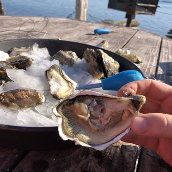 Taylor Shellfish Farms - Pacific medium oysters, HUGE - Seafood Markets Near Me - Bow, Washington Taylor Shellfish Farms - Pacific medium oysters, HUGE - Seafood Markets Near Me - Bow, Washington