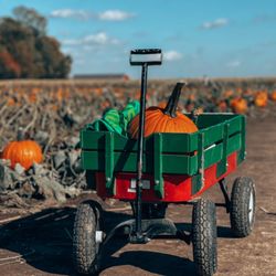 Exploration Acres - Picking Up Some Pumpkin's