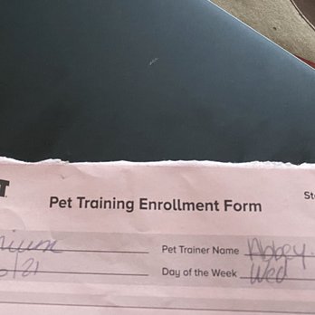 PetSmart - Paperwork with date and time. - Pet Stores Near Me - Wheaton, Illinois PetSmart - Paperwork with date and time. - Pet Stores Near Me - Wheaton, Illinois