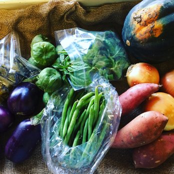 Tempe CSA - A September 2017 Classic Share - CSA Near Me - Tempe, Arizona Tempe CSA - A September 2017 Classic Share - CSA Near Me - Tempe, Arizona