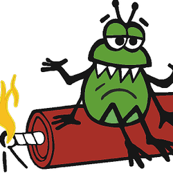 Solutions Pest Management