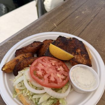 Key Largo Fisheries - Perfectly blackened Cobia and the best plantains I've had in the keys! - Seafood Near Me - Key Largo, Florida Key Largo Fisheries - Perfectly blackened Cobia and the best plantains I've had in the keys! - Seafood Near Me - Key Largo, Florida