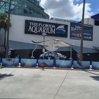 The Florida Aquarium - Aquariums Near Me - Tampa, Florida