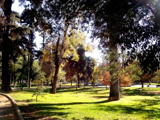 Parque Forestal by null
