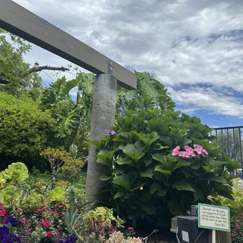 Garden Center Cafe - New American Near Me - Fallbrook, California Garden Center Cafe - New American Near Me - Fallbrook, California