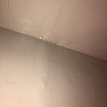 Ultra Dry - The start - Damage Restoration Near Me - Santee, California