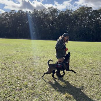Berserker Malinois Kennel - Pet Training Near Me Berserker Malinois Kennel - Pet Training Near Me