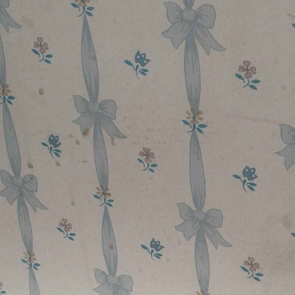 Hotel Lakeside - Stained wall paper - Hotels Near Me - Lakeside Marblehead, Ohio
