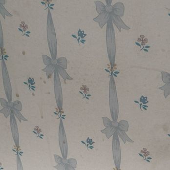 Hotel Lakeside - Stained wall paper - Hotels Near Me - Lakeside Marblehead, Ohio