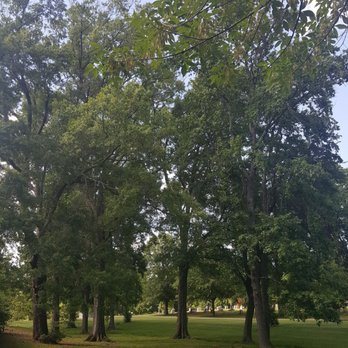 Forest Lawn Cemetery - Funeral Services & Cemeteries Near Me - Greensboro, North Carolina Forest Lawn Cemetery - Funeral Services & Cemeteries Near Me - Greensboro, North Carolina