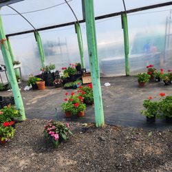 Baggott Family Farms