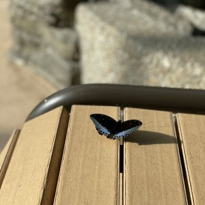 Peggy Notebaert Nature Museum on Yelp