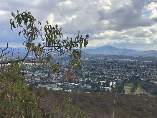 Cowles Mountain by null