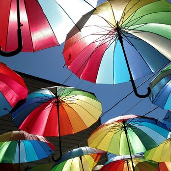 Caffe Mona La Bistro - Canopy of umbrellas over the patio - Breakfast & Brunch Near Me - Pittsburgh, Pennsylvania