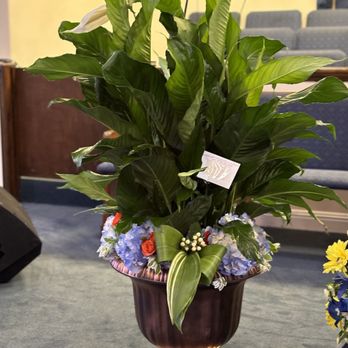 Bloom & Grow - Peace Lily with flowers - Florists Near Me - Vestavia Hills, Alabama Bloom & Grow - Peace Lily with flowers - Florists Near Me - Vestavia Hills, Alabama