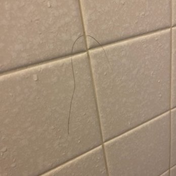 Days Inn by Wyndham Butte - Hair on shower wall - Hotels Near Me - Butte, Montana