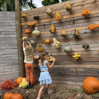 Tinez Farms - Attraction Farms Near Me - Miami, Florida Tinez Farms - Attraction Farms Near Me - Miami, Florida