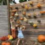 Tinez Farms