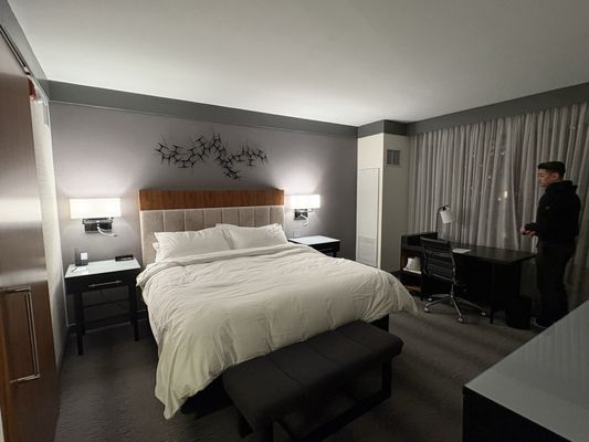 Loews Chicago Hotel by null