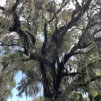 Coastal Discovery Museum - Museums Near Me - Hilton Head Island, South Carolina