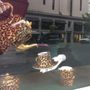 Photo of Asprey - Madison Ave, New York