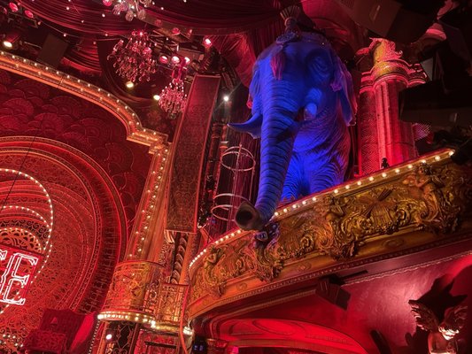 Al Hirschfeld Theatre by null
