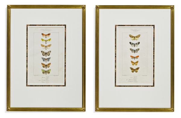 The Antiquarium - Houston's Finest Custom Picture Framing, Rare Maps and Prints by null