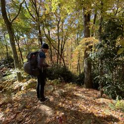 Blue Ridge Hiking Company - Thank you for a fabulous hike!