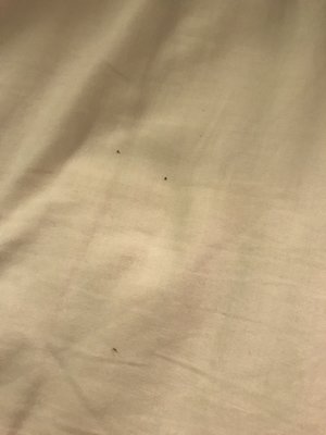 Bighorn Rentals by null