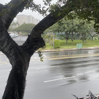 Eggs 'n Things - The view from our table. Beautiful rain made it even better. - Breakfast & Brunch Near Me - Honolulu, Hawaii