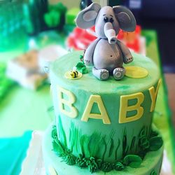 The Cupcake Boss - Jungle theme grassland/fondant elephant