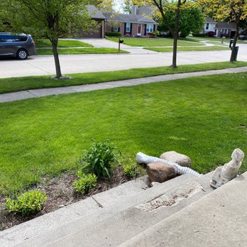 Blue Grass Fertilizing - a fire hydrant on the sidewalk - Lawn Services Near Me - Mount Clemens, Michigan Blue Grass Fertilizing - a fire hydrant on the sidewalk - Lawn Services Near Me - Mount Clemens, Michigan